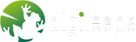 DigiLeaps - Digitaal Marketing Bureau